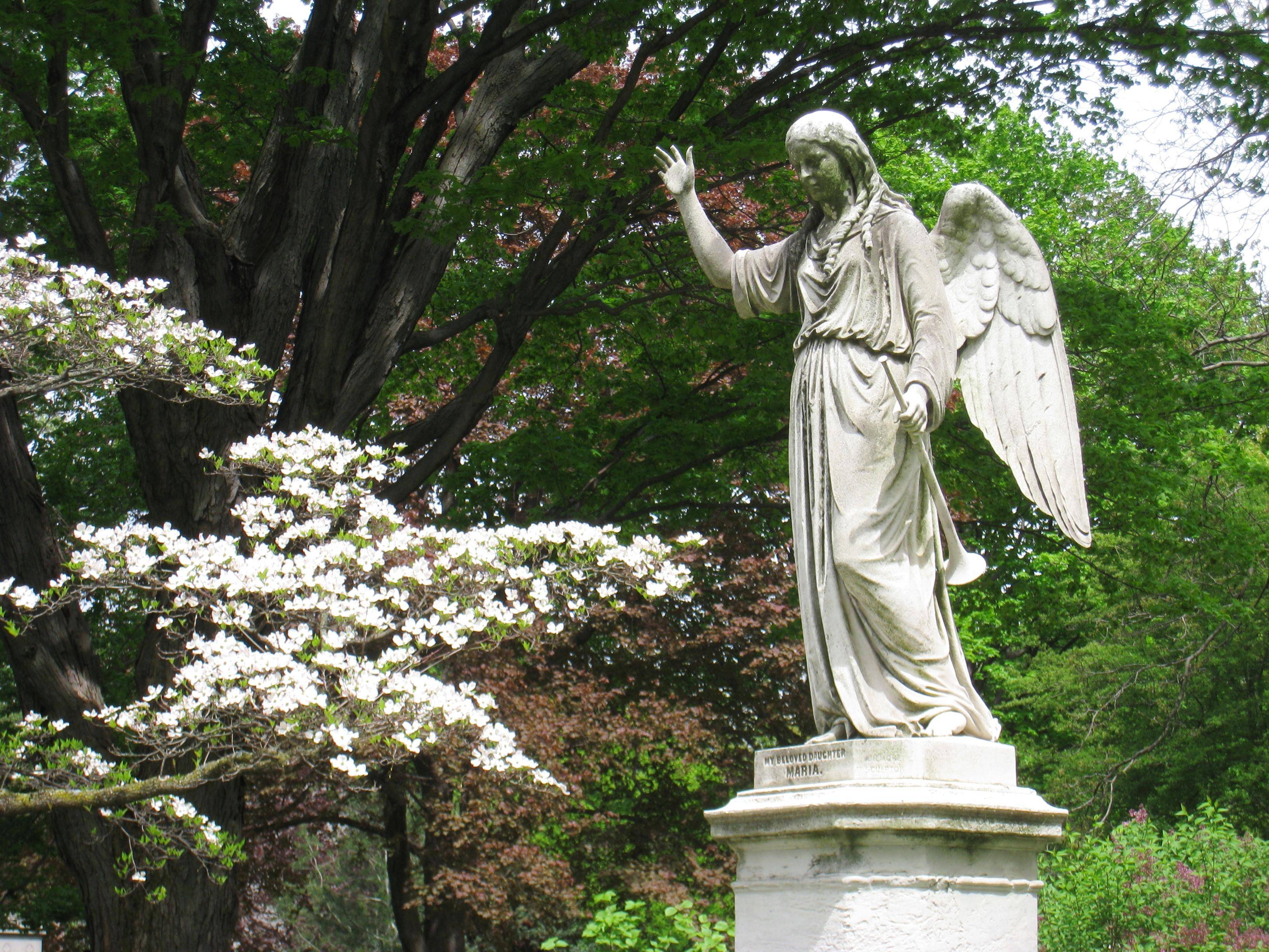 Mount_Auburn_Cemetery_-_angel_sculpture