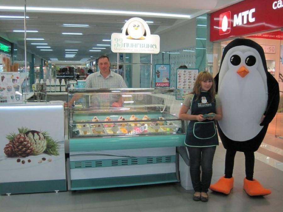Франшиза 33 пингвина: условия и стоимость в России.