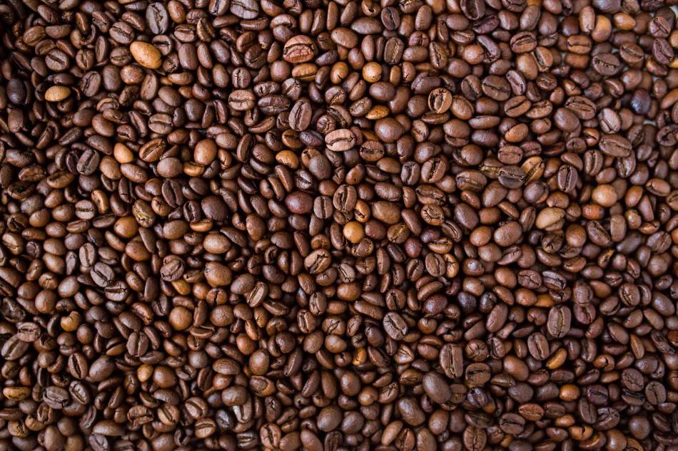 Использование франшизы при открытии кофеен: 3 главных правила