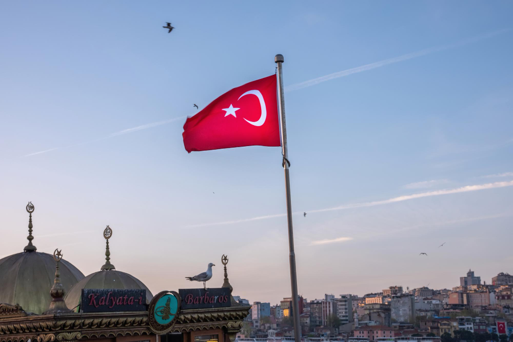 Стало известно о проживании обвиняемых в теракте в «Крокусе» в Стамбуле