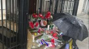 Жители Нью-Йорка несут цветы к российским дипмиссиям, несмотря на непогоду