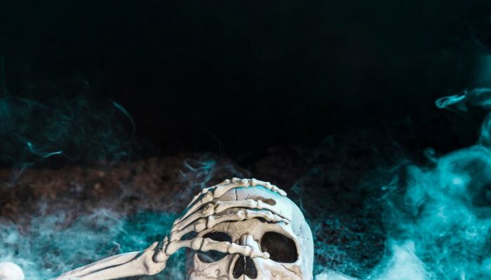 Модифицированные черепа: ученые пролил свет на женщин-викингов