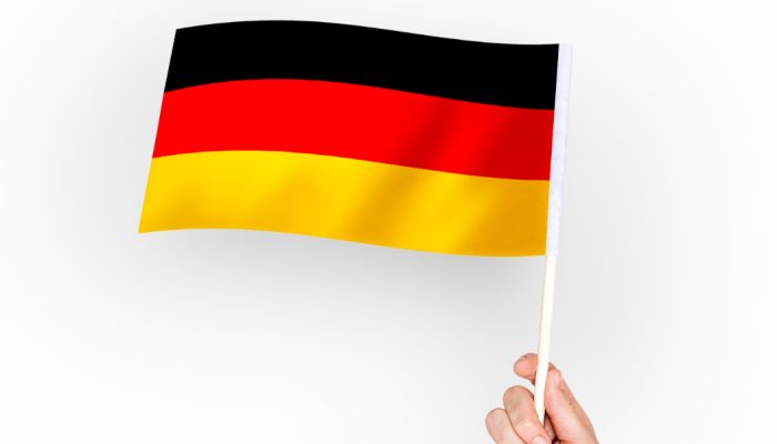 Главу МИД Германии обвинили в непрофессионализме