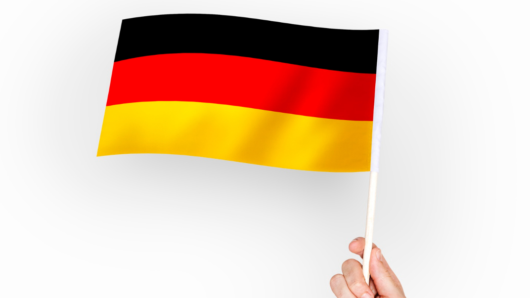 Главу МИД Германии обвинили в непрофессионализме