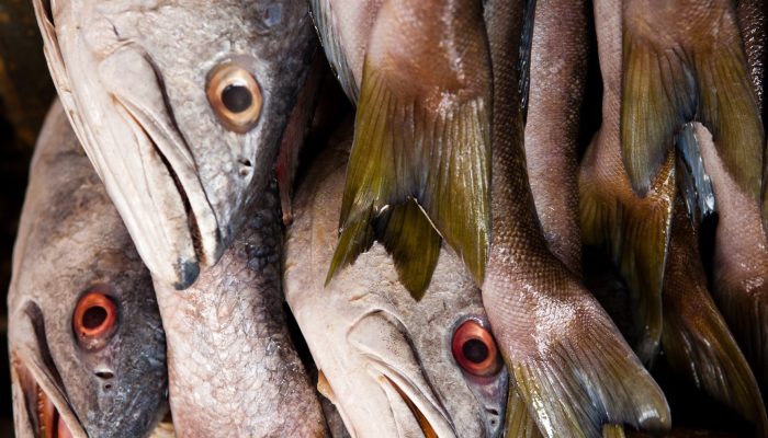 Sabah: Жирная рыба и этот простой овощ замедлят старение и продлят жизнь